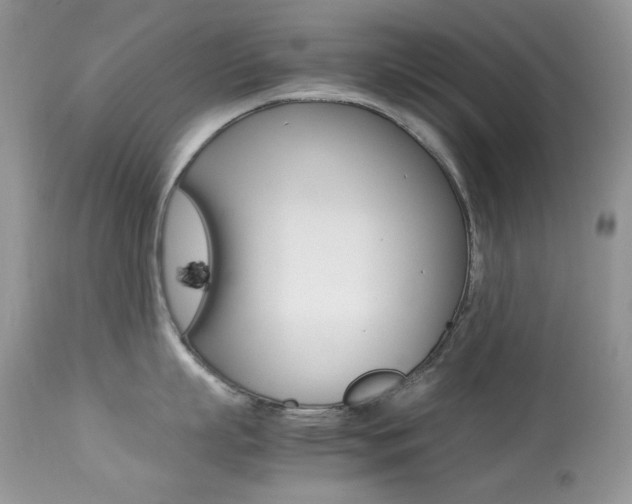 X0000113640863200909181327