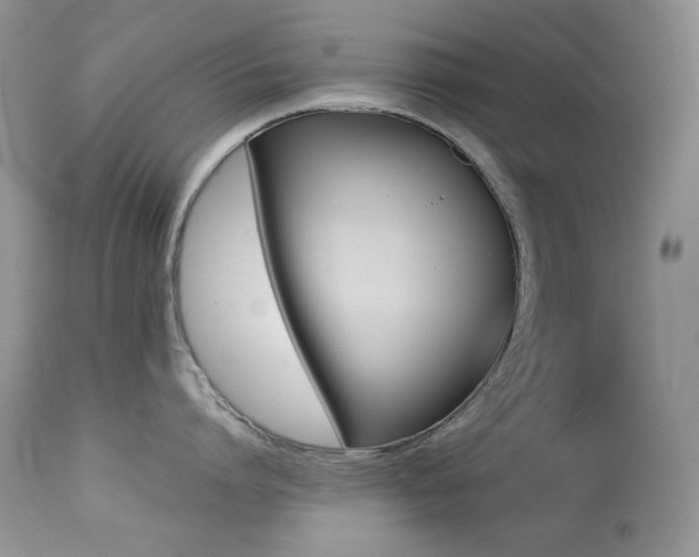 X0000113640864200909181327