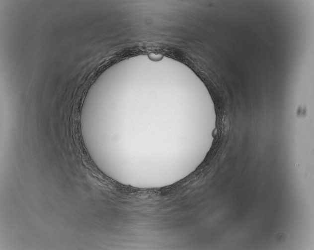X0000113640865200909181327