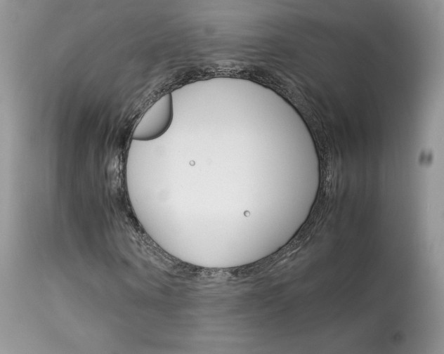 X0000113640866200909181327