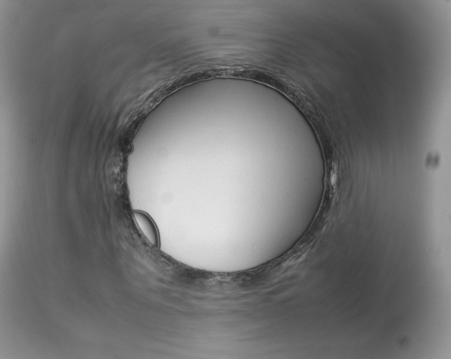 X0000113640867200909181327