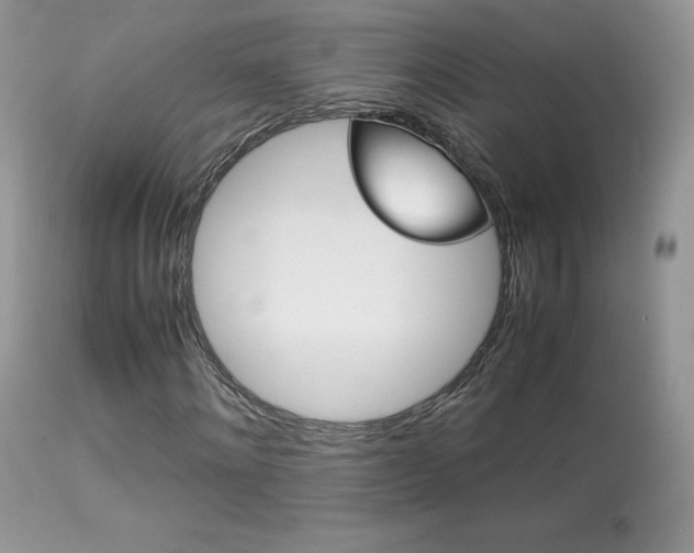 X0000113640868200909181327