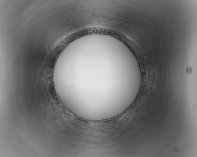 X0000113640870200909181327
