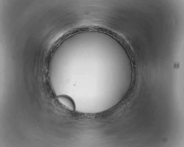 X0000113640871200909181327