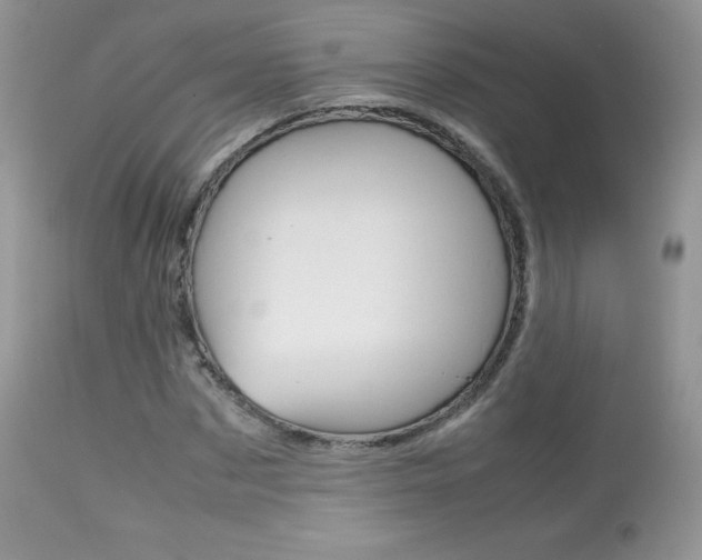 X0000113640873200909181327