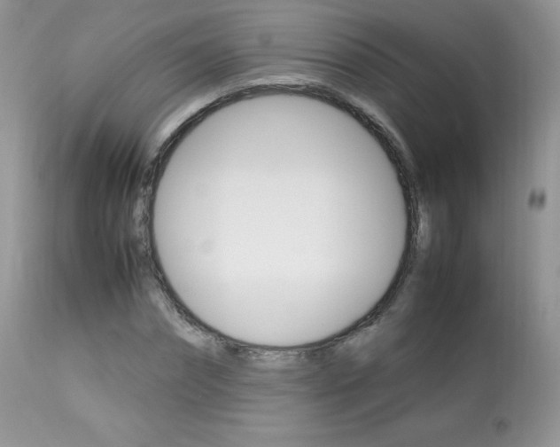 X0000113640874200909181327