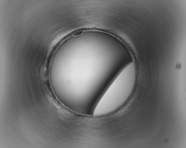 X0000113640876200909181327