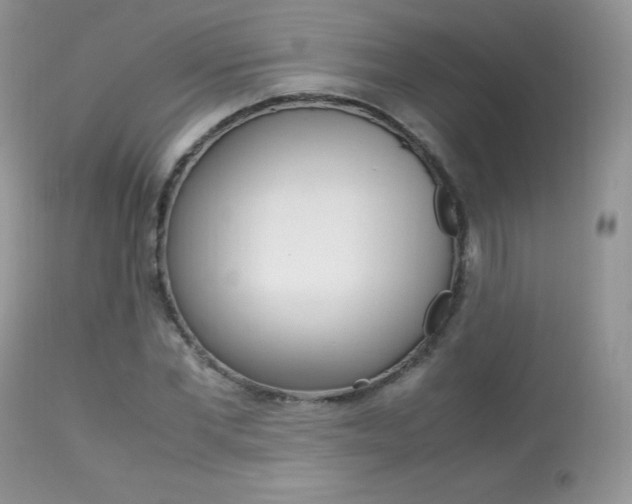 X0000113640877200909181327