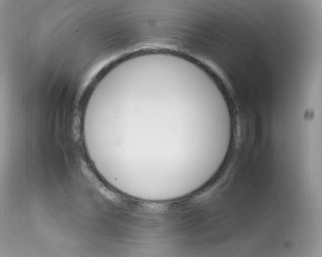 X0000113640878200909181326