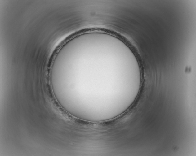 X0000113640879200909181326