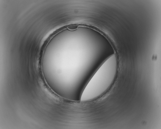 X0000113640880200909181326