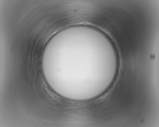 X0000113640881200909181326
