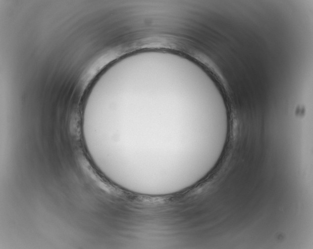 X0000113640882200909181326