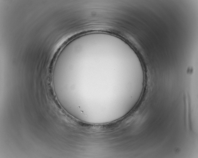 X0000113640883200909181326
