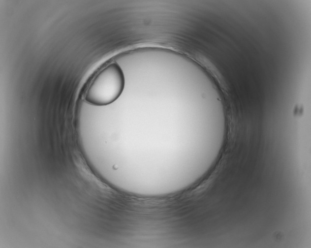 X0000113640884200909181326