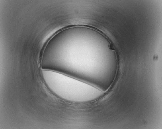 X0000113640885200909181326