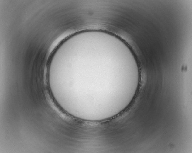 X0000113640886200909181326