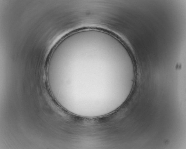 X0000113640887200909181326