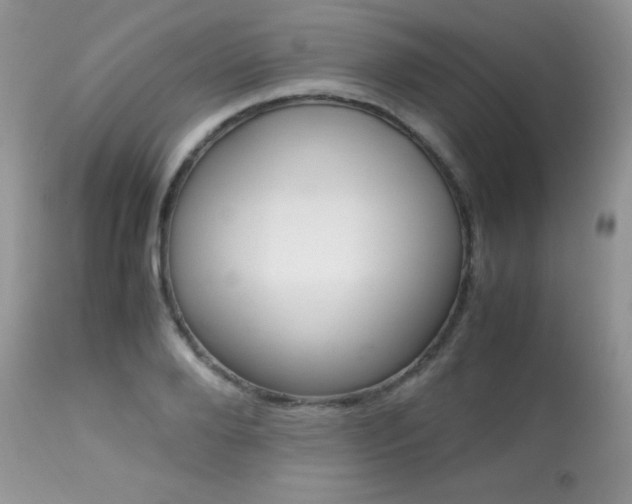 X0000113640888200909181326