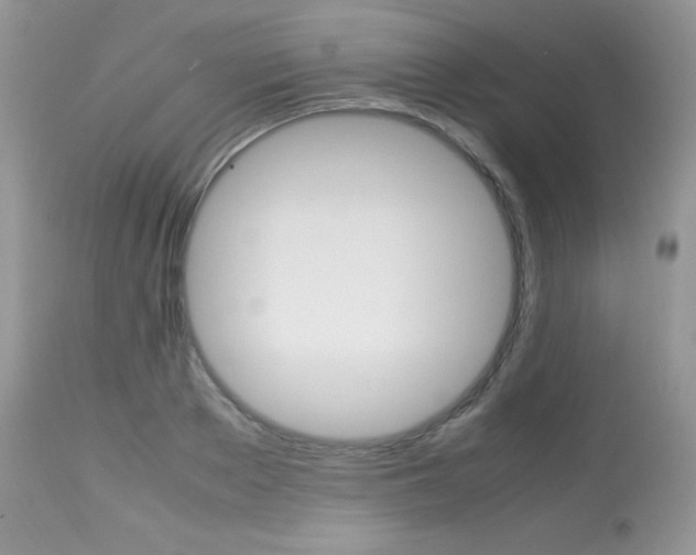 X0000113640889200909181326