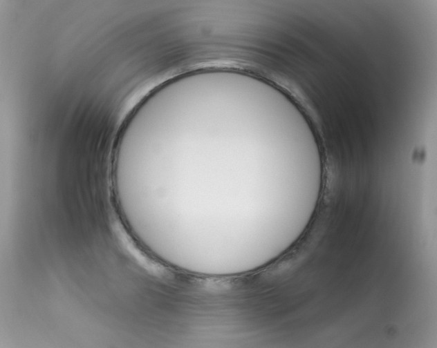 X0000113640890200909181326