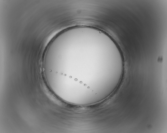X0000113640891200909181326