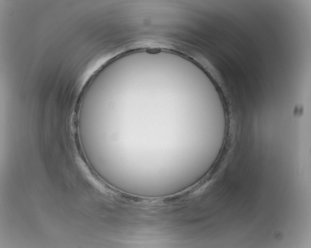 X0000113640893200909181326
