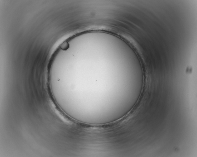 X0000113640894200909181326