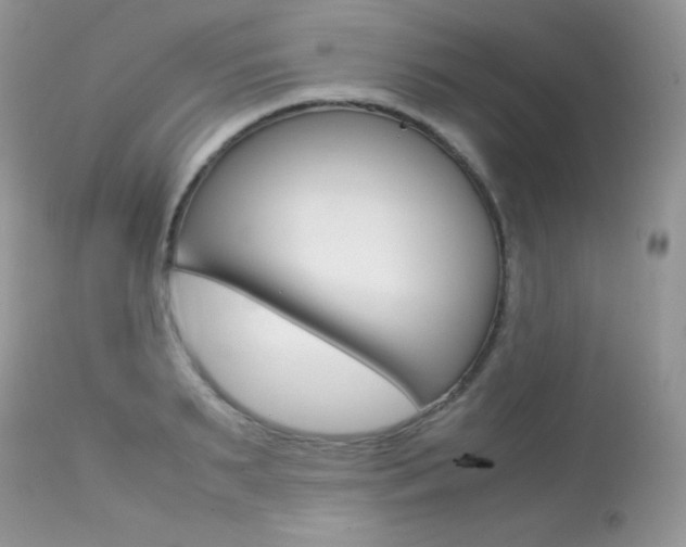 X0000113640895200909181326