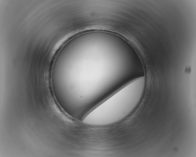 X0000113640896200909181326