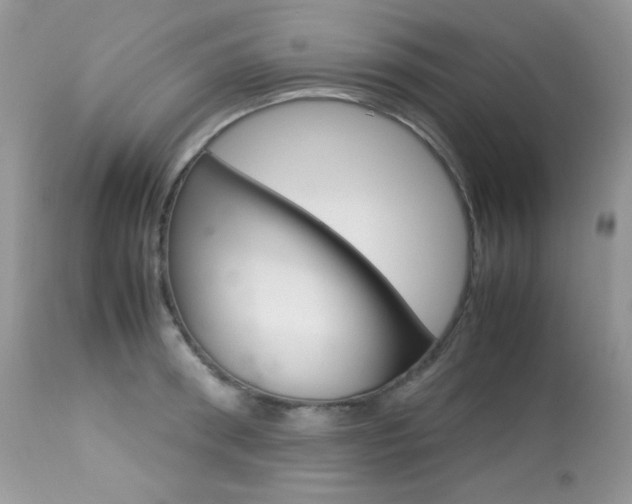 X0000113640898200909181326