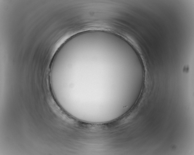 X0000113640899200909181326
