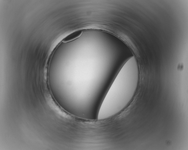 X0000113640900200909181326