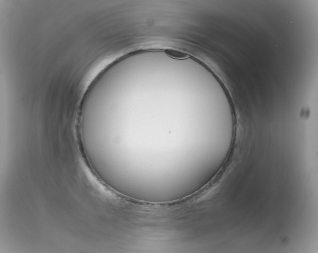 X0000113640901200909181326