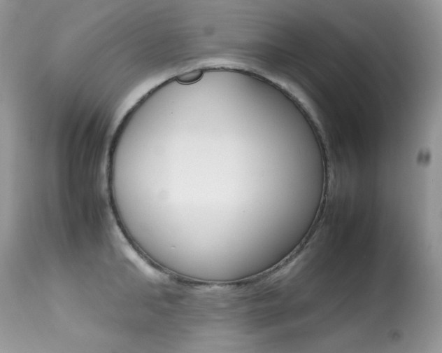 X0000113640902200909181326