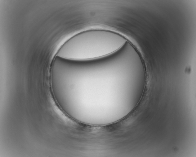 X0000113640903200909181326