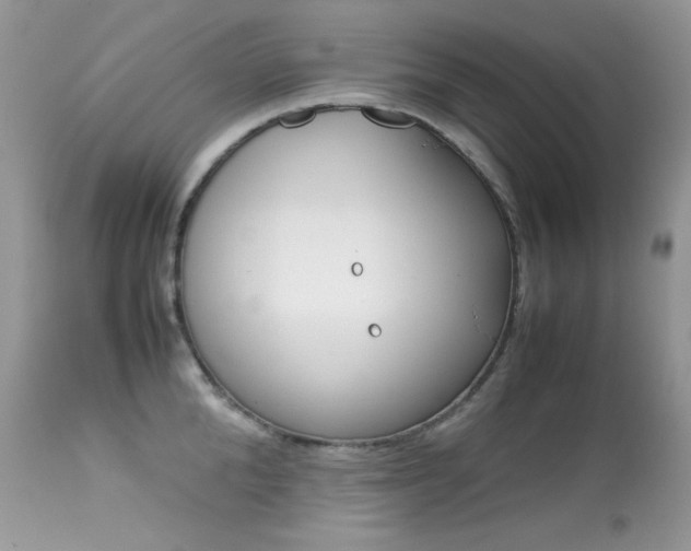 X0000113640904200909181326