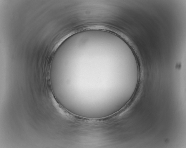 X0000113640905200909181326