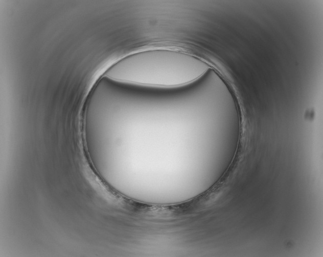 X0000113640907200909181326