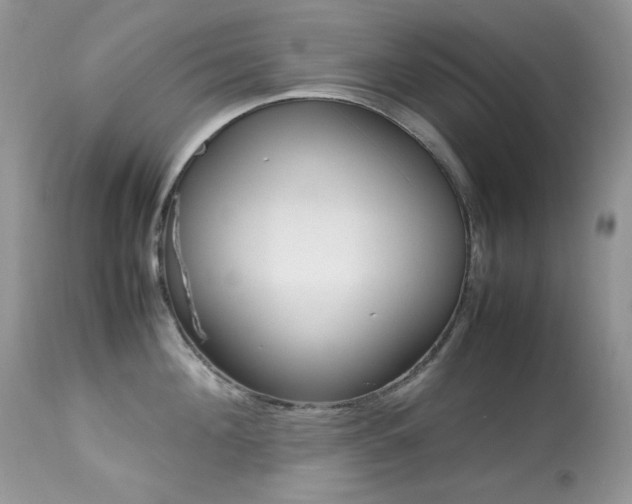 X0000113640908200909181326