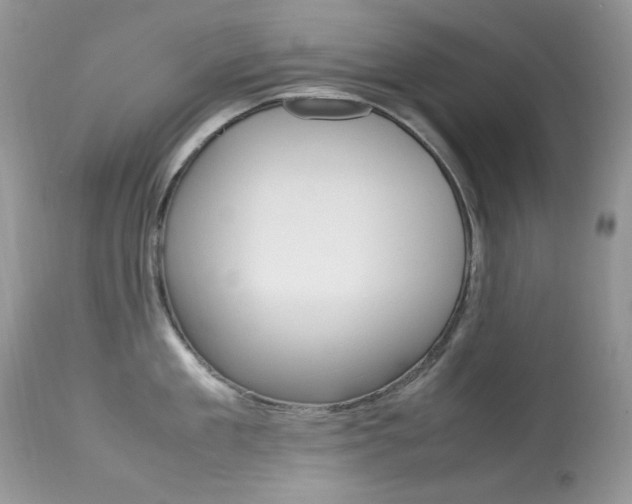 X0000113640909200909181326