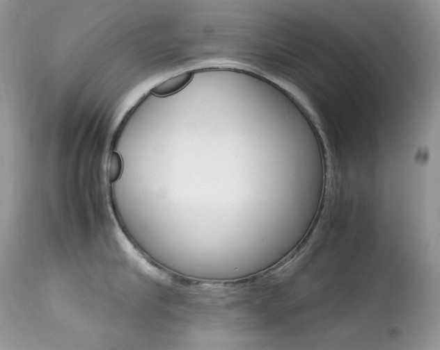 X0000113640910200909181326