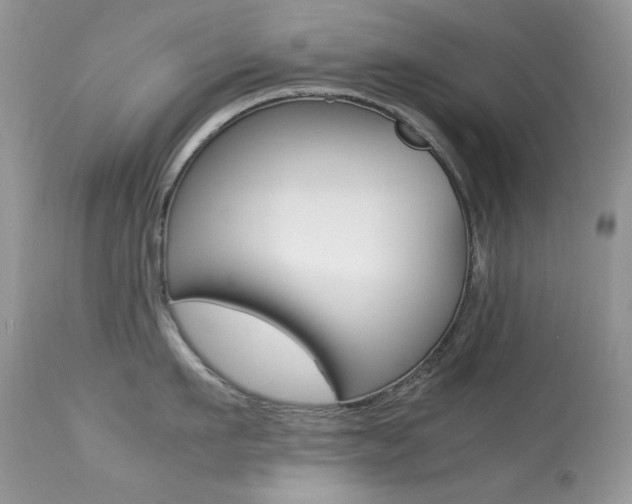 X0000113640911200909181326