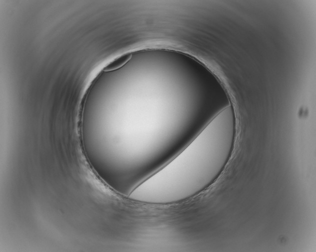 X0000113640912200909181326