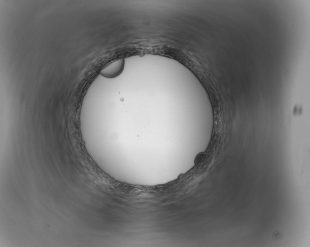 X0000113640913200909181325