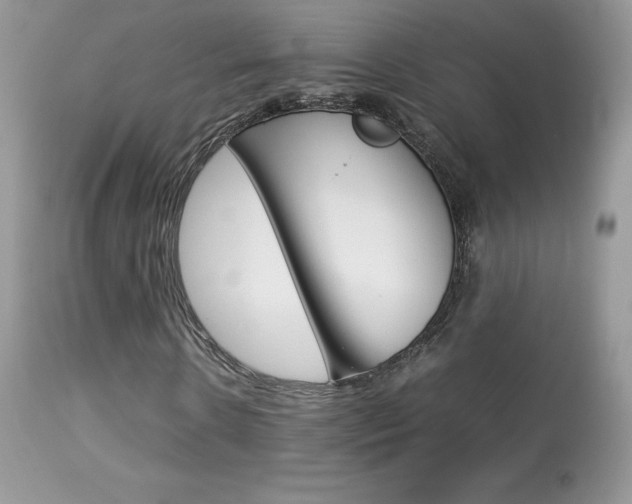 X0000113640914200909181325