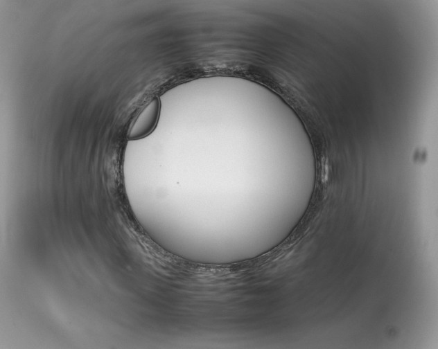 X0000113640915200909181325