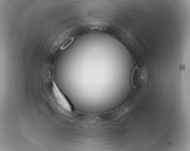 X0000113640916200909181325