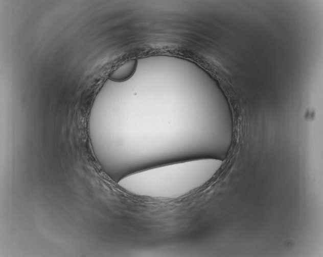 X0000113640917200909181325