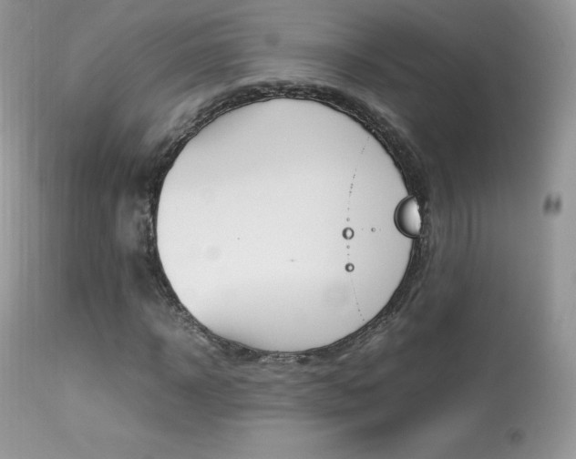 X0000113640918200909181325